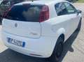Fiat Punto Punto 3p 1.3 mjt 16v Classic N1 AUTOCARRO - thumbnail 2