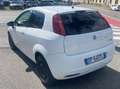 Fiat Punto Punto 3p 1.3 mjt 16v Classic N1 AUTOCARRO - thumbnail 3
