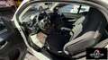 smart forTwo RATA MENSILE 183,00 fortwo 70 1.0 Passion Wit - thumbnail 5