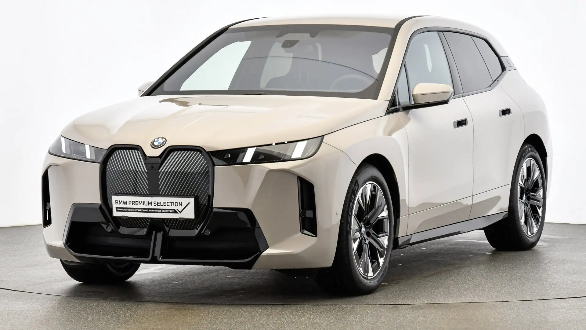 BMW iX xDrive45 *M-Sportpaket *M-Multifunktionssitze *Harman/Kardon Grau - 1