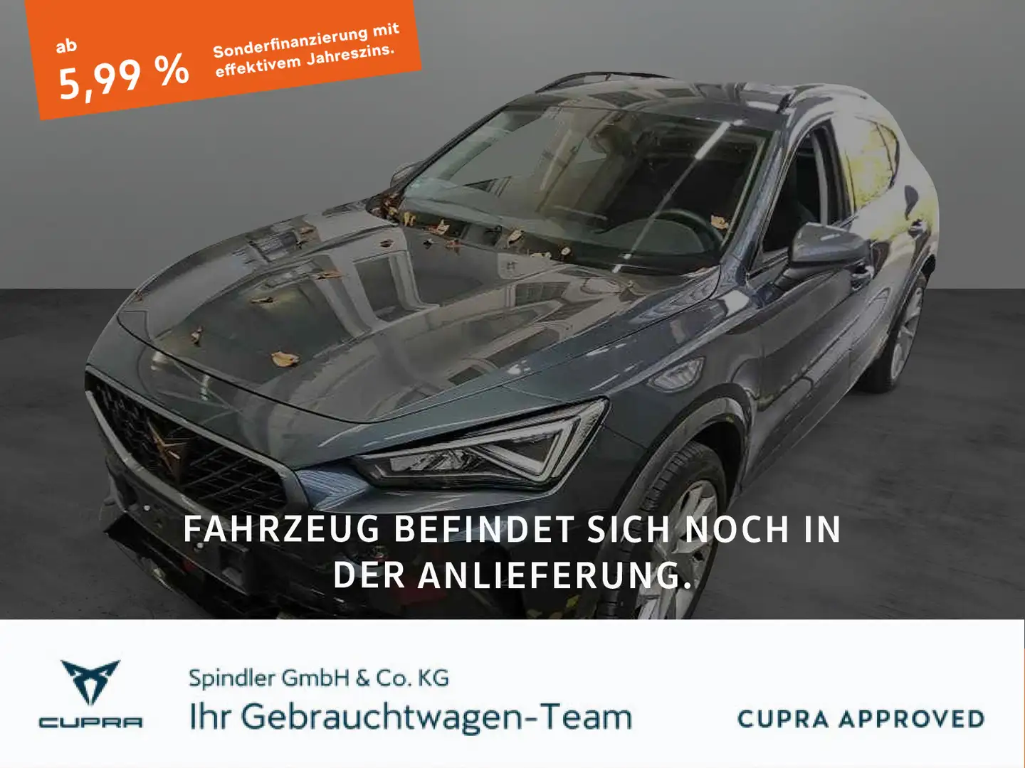 CUPRA Formentor 2.0 TDI 4Drive DSG / Standh, Navi, LED Grau - 1