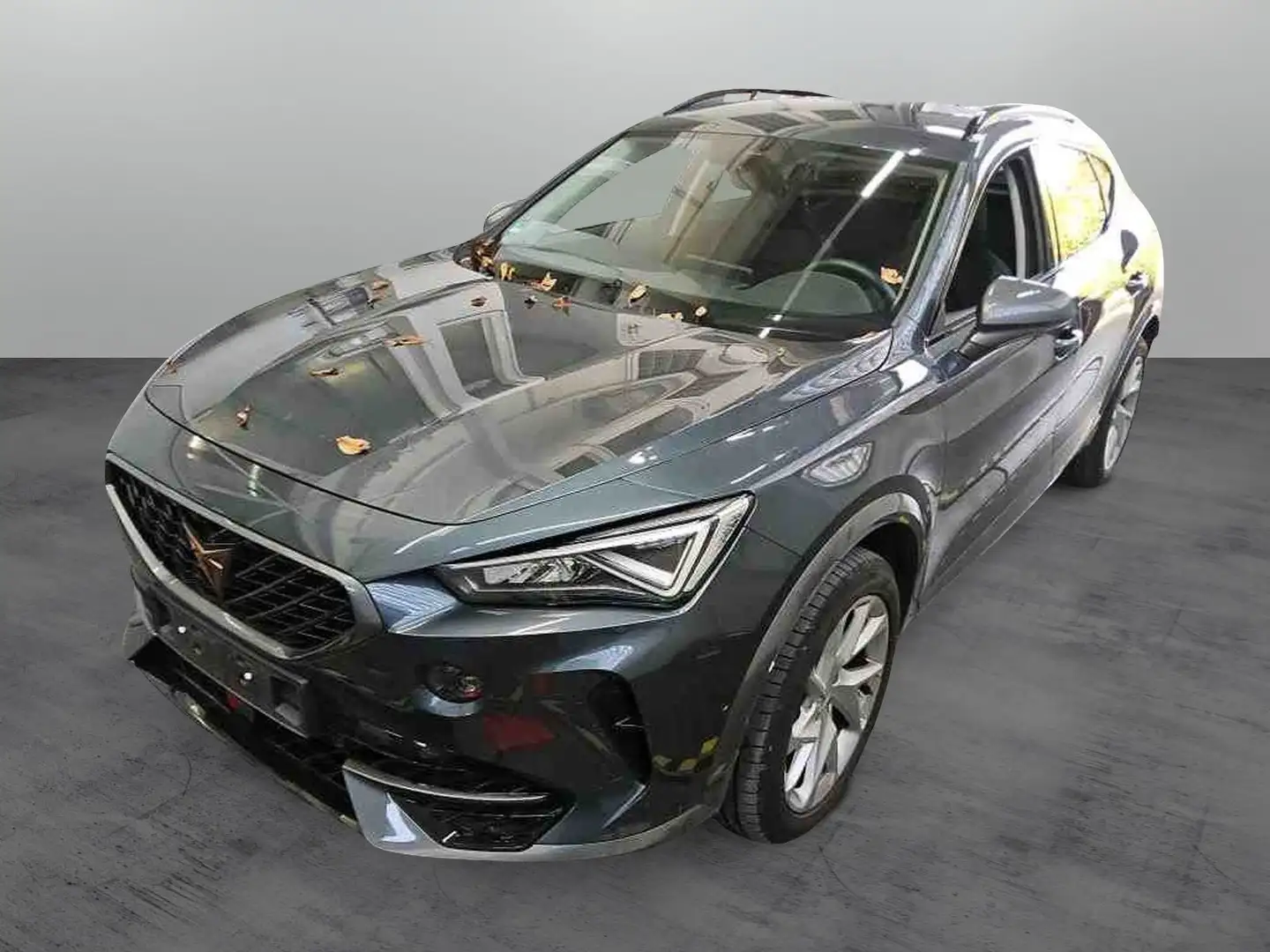 CUPRA Formentor 2.0 TDI 4Drive DSG / Standh, Navi, LED Grau - 2