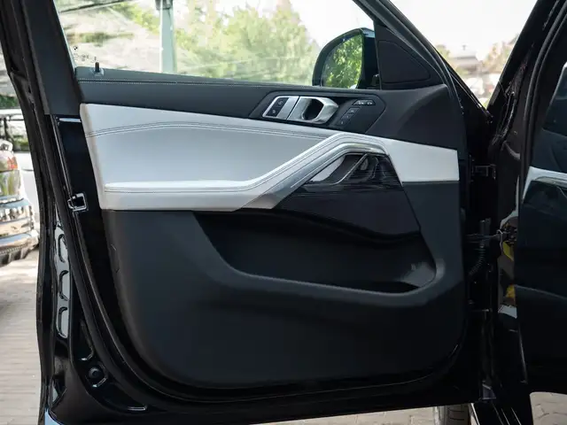 BMW X6 view 25