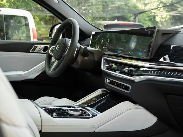 BMW X6 view 19