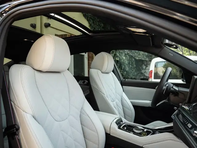 BMW X6 view 29