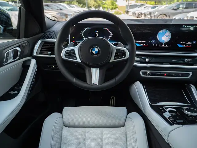 BMW X6 view 17