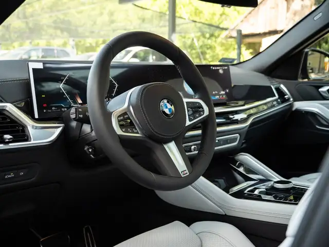 BMW X6 view 16