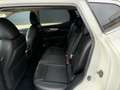 Nissan Qashqai Qashqai II 2017 1.6 dci Tekna 4wd 130cv Wit - thumbnail 9