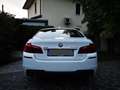BMW 528 528i xdrive Msport auto E6 Bianco - thumbnail 3