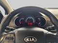 Kia Picanto 1.0 CVVT EconomyPlusLine Blauw - thumbnail 15