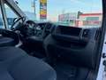 Citroen Jumper L4H3 35+ 165 TÜV/Service/Reifen NEU *ABVERKAUF* - thumbnail 17