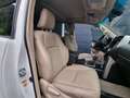Toyota Land Cruiser Landcruiser 300 3,0 D-4D 175 President Aut. Weiß - thumbnail 19