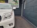 Toyota Land Cruiser Landcruiser 300 3,0 D-4D 175 President Aut. Weiß - thumbnail 13