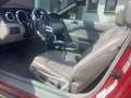 Ford Mustang 4.0 CC EURO 4 120000miles Rood - thumbnail 8