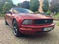 Ford Mustang 4.0 CC EURO 4 120000miles Rouge - thumbnail 13