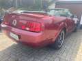 Ford Mustang 4.0 CC EURO 4 120000miles Rood - thumbnail 3