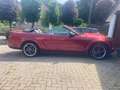 Ford Mustang 4.0 CC EURO 4 120000miles Rood - thumbnail 4