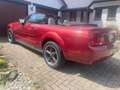 Ford Mustang 4.0 CC EURO 4 120000miles Rood - thumbnail 2