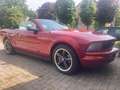Ford Mustang 4.0 CC EURO 4 120000miles Rood - thumbnail 5
