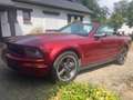 Ford Mustang 4.0 CC EURO 4 120000miles Rood - thumbnail 1
