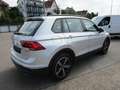 Volkswagen Tiguan Life 2.0TDI DSG 4Mo Facelift*LED*Navi*ACC Silber - thumbnail 4