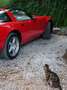 Corvette ZR1 ZR1 Rot - thumbnail 9