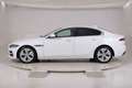 Jaguar XE Diesel 2.0d i4 HSE 180cv auto Weiß - thumbnail 6