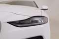 Jaguar XE Diesel 2.0d i4 HSE 180cv auto Weiß - thumbnail 19