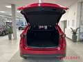 Mazda CX-5 Ad'Vantage 2.0 e-SKYACTIV-G 165PS Mild-Hybrid 2WD Rot - thumbnail 15