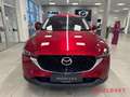 Mazda CX-5 Ad'Vantage 2.0 e-SKYACTIV-G 165PS Mild-Hybrid 2WD Rot - thumbnail 8
