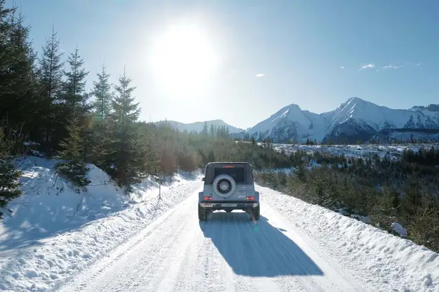 Mercedes-Benz G 63 Amg view 19