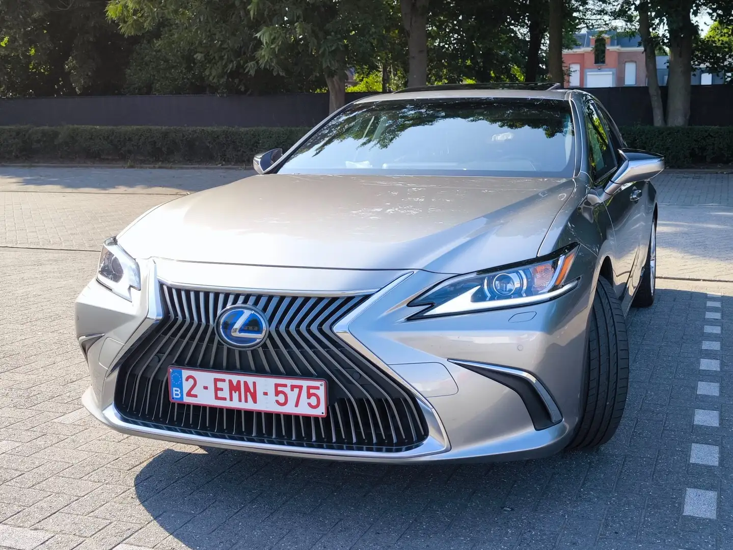 Lexus ES 300 ES 300h Luxury Line Or - 2