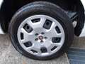 Fiat Doblo +IVA 1.6MJT 120cv EU6 Cassonato Work-Up 3PO GANCIO Bianco - thumbnail 14