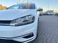Volkswagen Golf Variant 1.6 tdi Comfortline 110cv Blanc - thumbnail 6