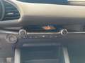 Mazda 3 Mazda3 Skyactiv-G122 Comfort+ /SO/ST Rot - thumbnail 17