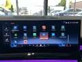 BMW 540 540d xDrive M Sportpaket Pro Sitzklima HeadUp Gris - thumbnail 31
