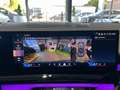BMW 540 540d xDrive M Sportpaket Pro Sitzklima HeadUp Gris - thumbnail 25