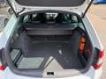 Skoda Octavia Combi 2.0 TSI RS Wit - thumbnail 6