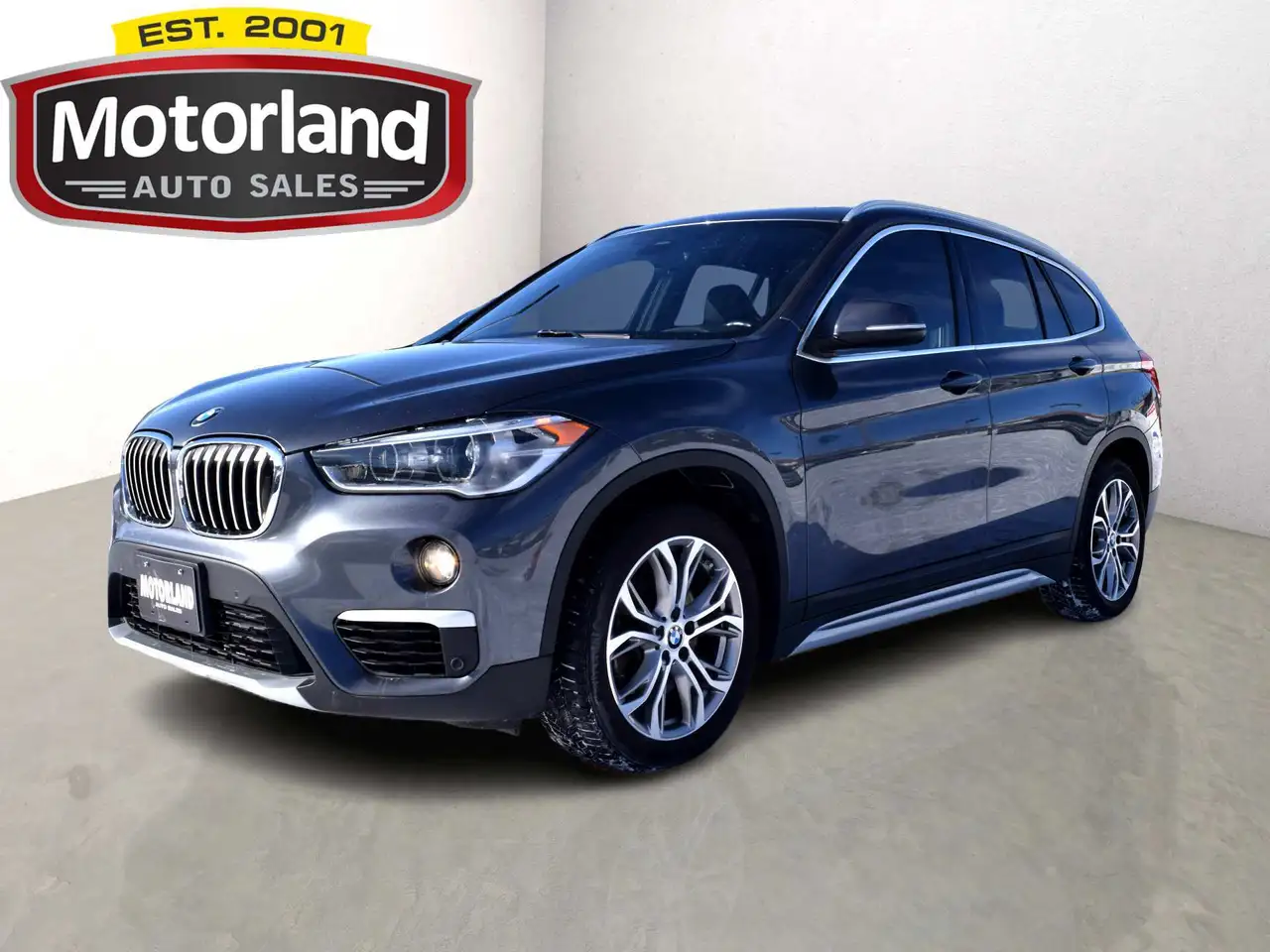 2019 BMW X1