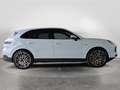 Porsche Cayenne E-Hybrid Weiß - thumbnail 2