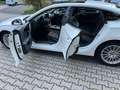 Audi A5 A5 Sportback Diesel Sportback 35 TDI S tronic Weiß - thumbnail 30