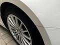 Audi A5 A5 Sportback Diesel Sportback 35 TDI S tronic Weiß - thumbnail 12