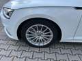 Audi A5 A5 Sportback Diesel Sportback 35 TDI S tronic Weiß - thumbnail 27