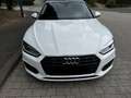 Audi A5 A5 Sportback Diesel Sportback 35 TDI S tronic Weiß - thumbnail 10