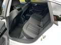 Audi A5 A5 Sportback Diesel Sportback 35 TDI S tronic Weiß - thumbnail 3