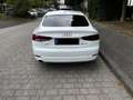 Audi A5 A5 Sportback Diesel Sportback 35 TDI S tronic Weiß - thumbnail 8