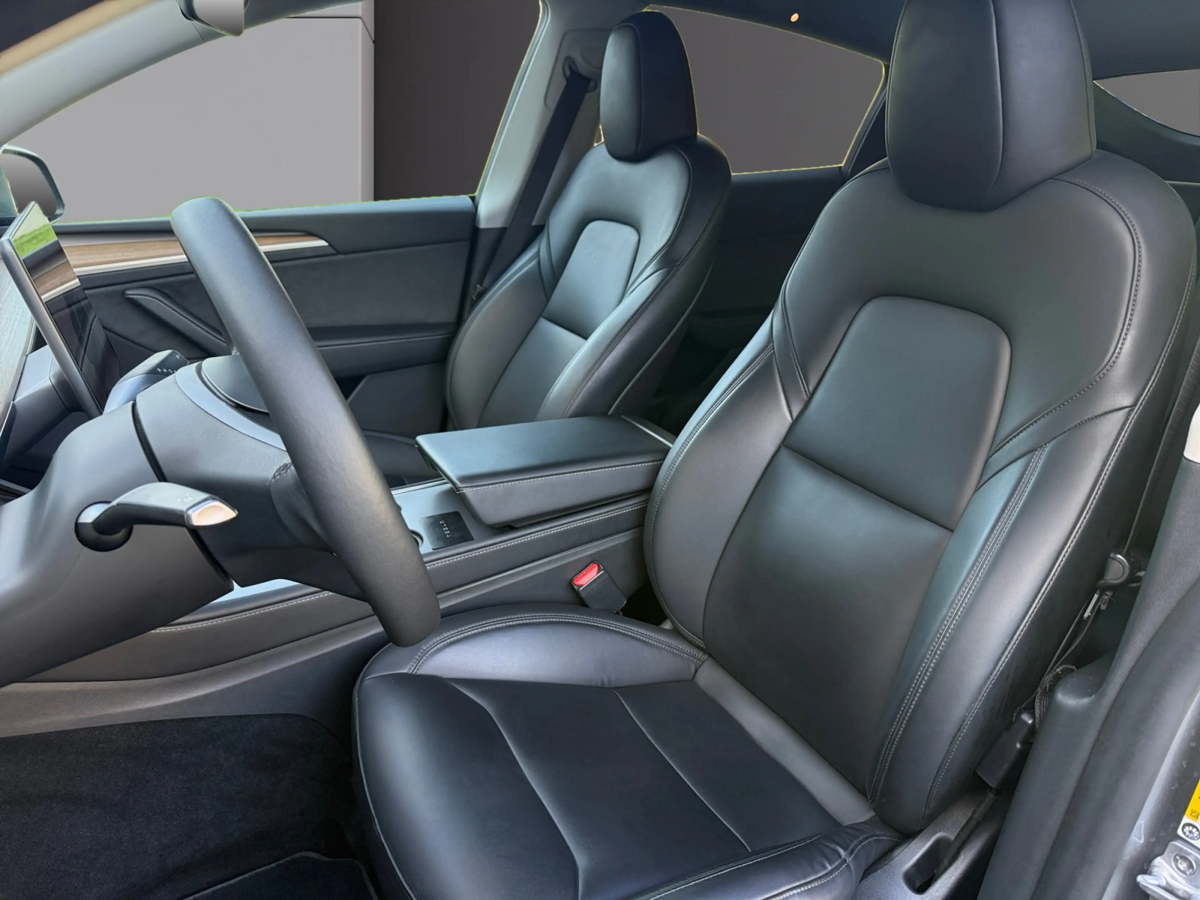 Tesla Model Y Model Y Dual Maximale Reichweite Dual AWD — photo 9