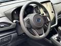 Subaru Crosstrek Active Bleu - thumbnail 10