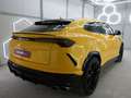 Lamborghini Urus 4.0 HGP*962PS*CARBON*AKRAPOVIC Gelb - thumbnail 10
