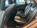 Ford Focus Lim. Champions Edition /96TKM/SHZ/SH/Klima Braun - thumbnail 10